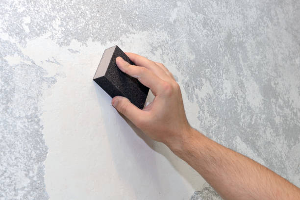 Best Asbestos and Lead Testing During Mold Inspection  in Sangaree, SC