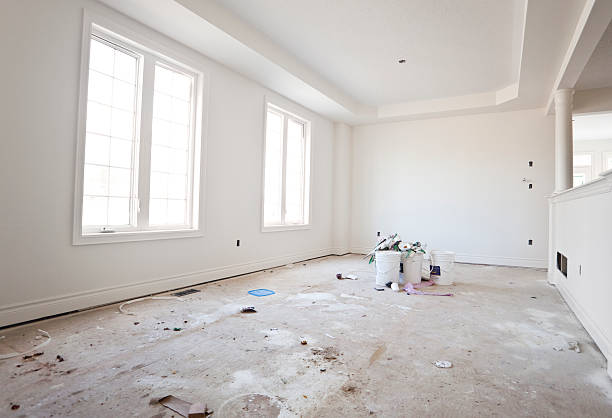 Professional Mold Removal in Sangaree, SC