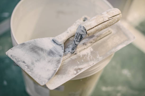 Best Mold Remediation for Healthcare Facilities  in Sangaree, SC